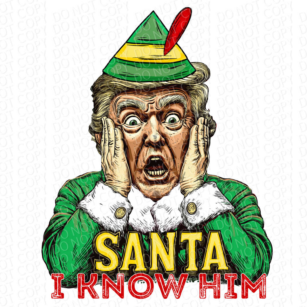 Trump Christmas Movie Series | DTF Ready to Press or Sublimation Transfer