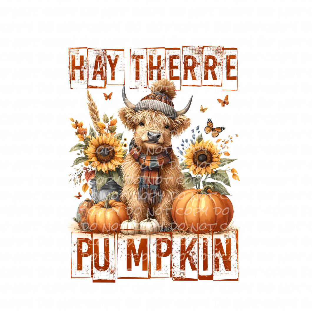 Hay There, Pumpkin | DTF Ready to Press or Sublimation Transfer