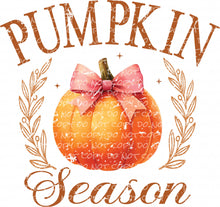 Load image into Gallery viewer, Pumpkin Season | DTF Ready to Press or Sublimation Transfer
