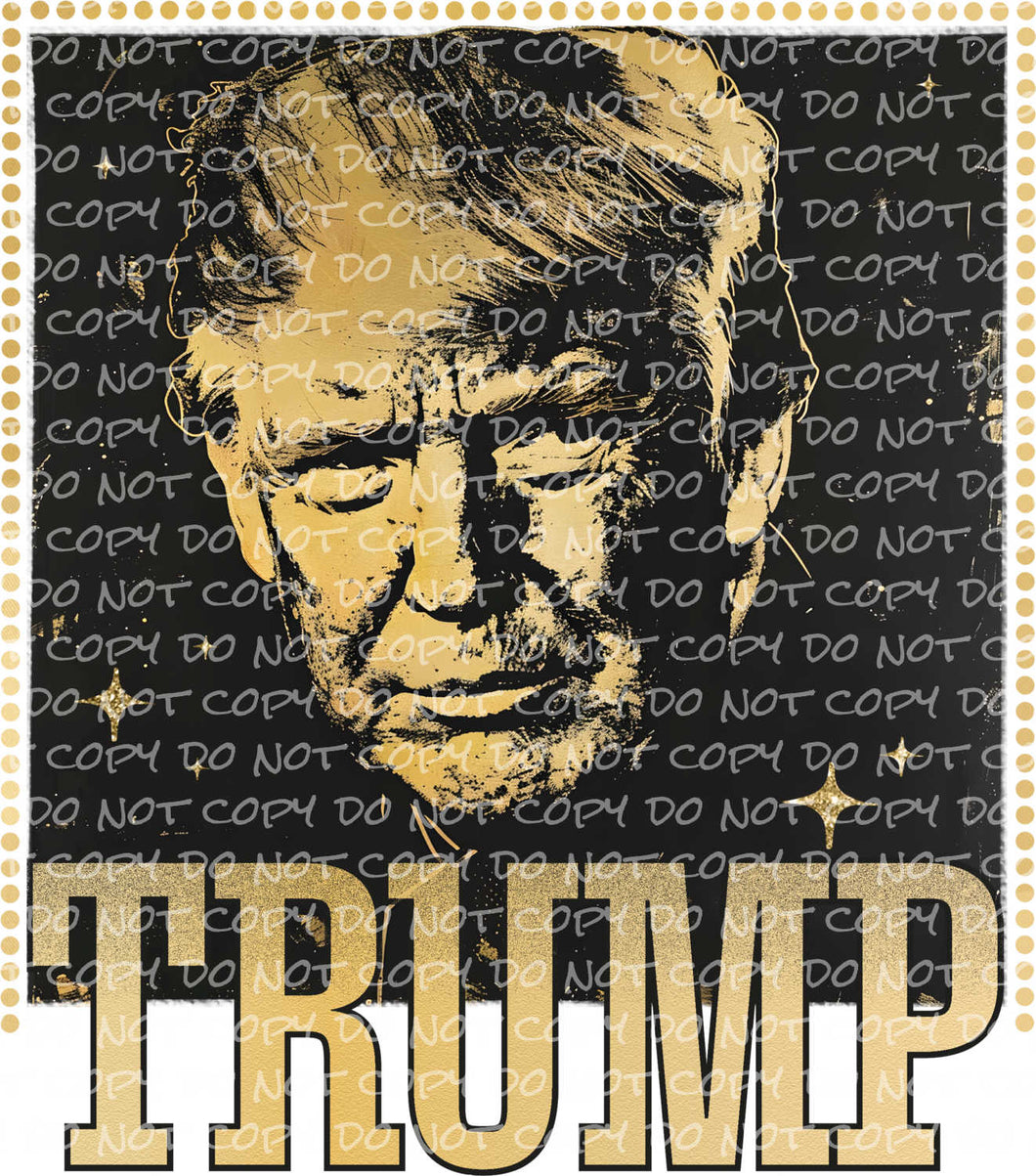 Presidential Candidate Black/Gold | DTF Ready to Press or Sublimation Transfer