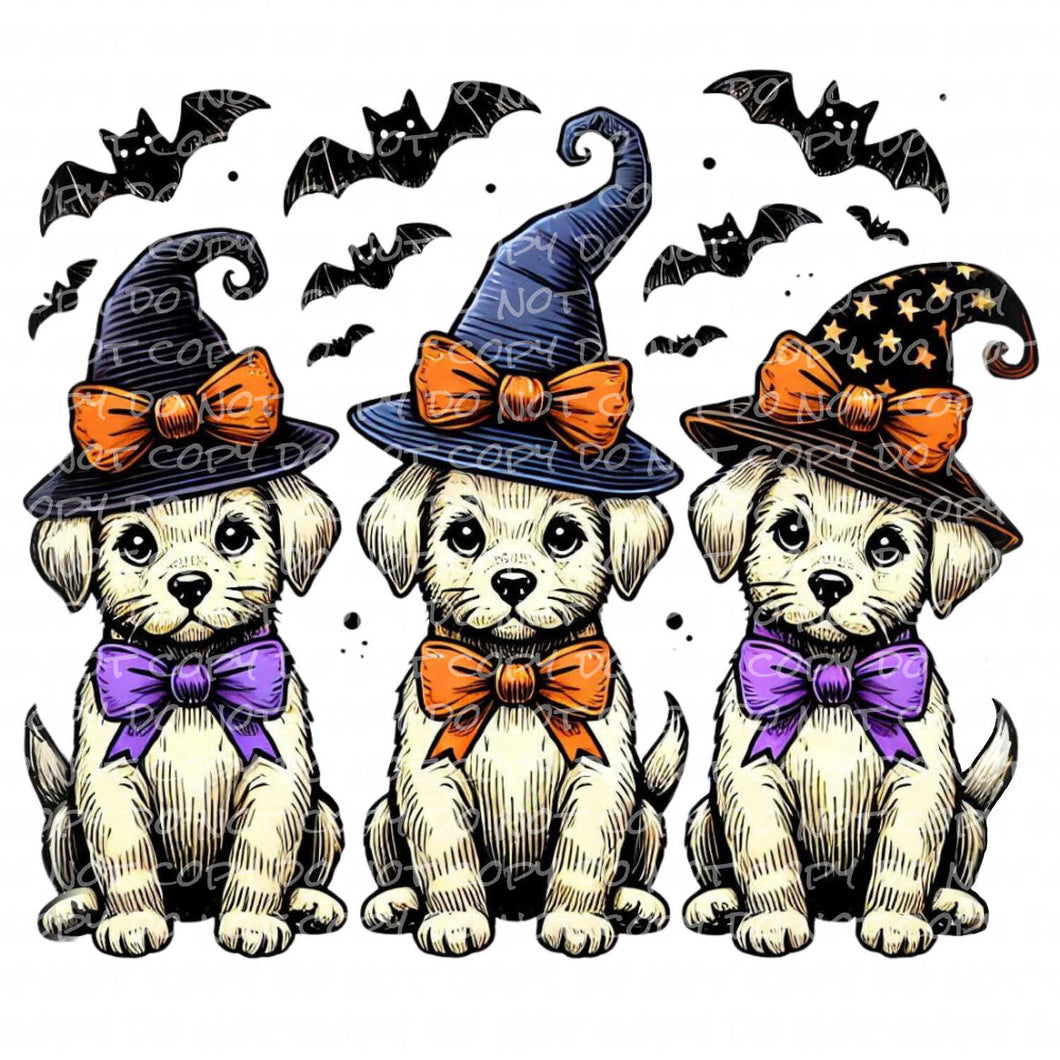 Halloween Witch Dogs | DTF Ready to Press or Sublimation Transfer