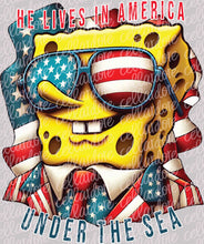 Load image into Gallery viewer, He Lives in America | DTF Ready to Press or Sublimation Transfer
