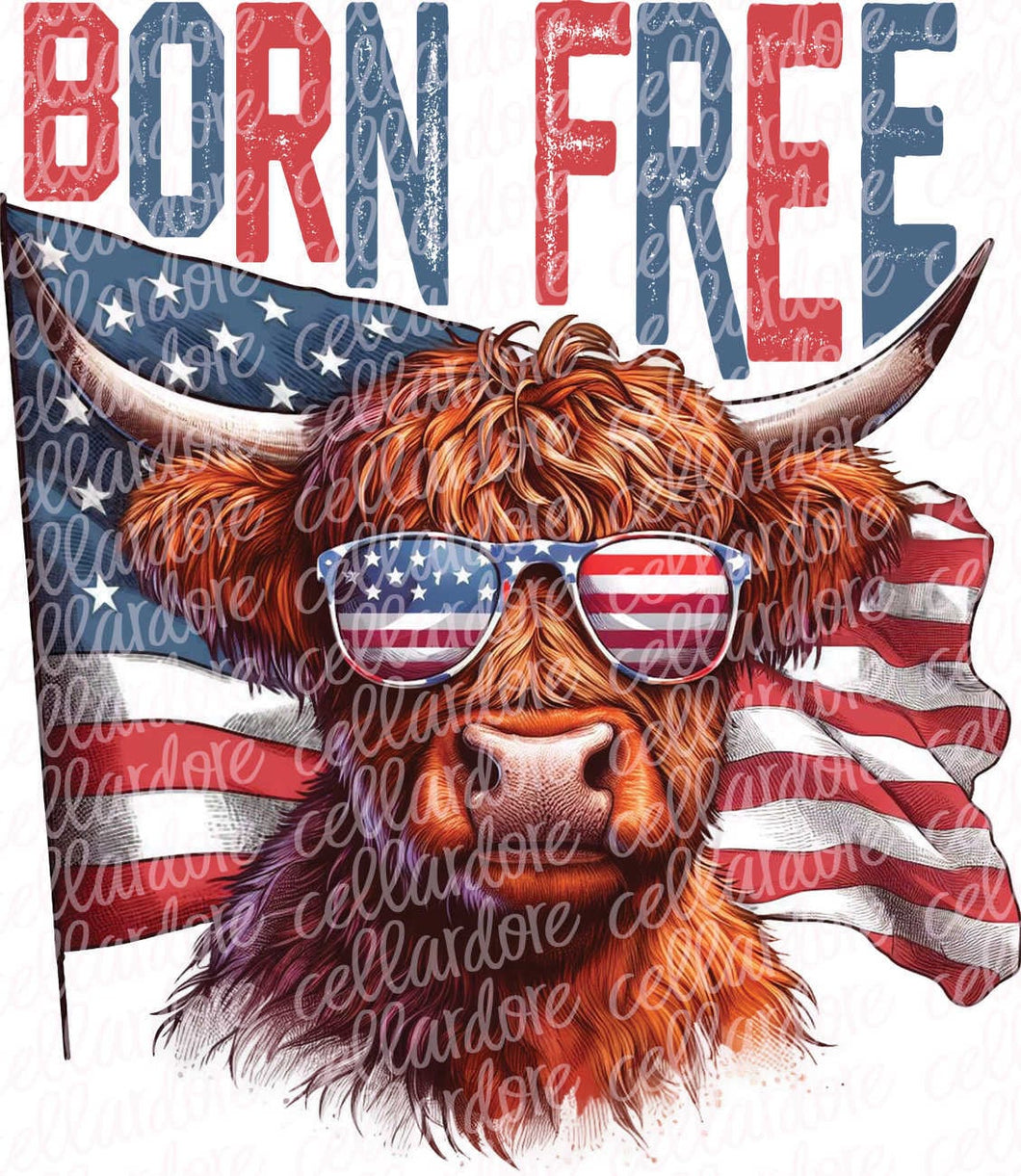 Born Free Highland Cow | DTF Ready to Press or Sublimation Transfer