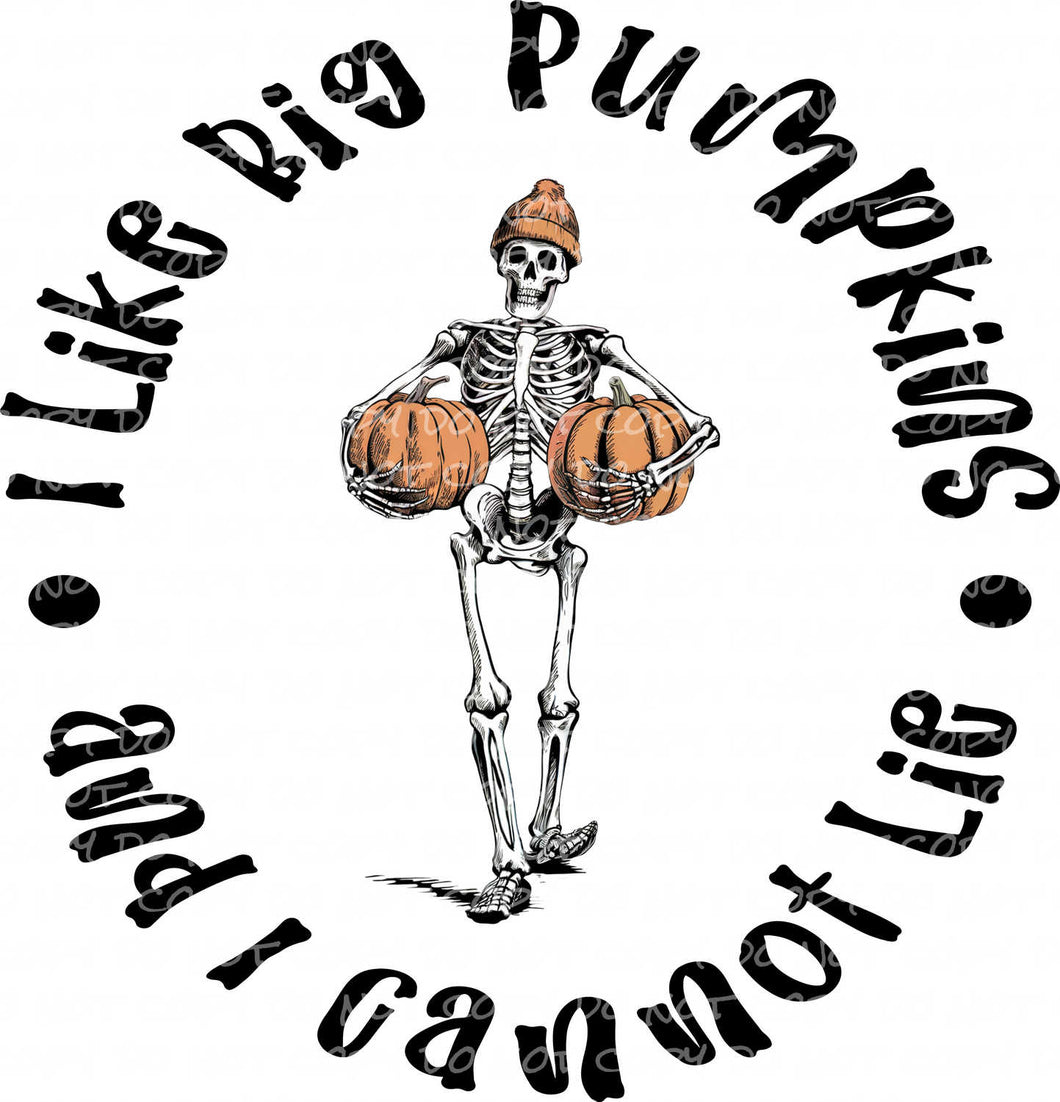 I Like Big Pumpkins and I Cannot Lie | DTF Ready to Press or Sublimation Transfer