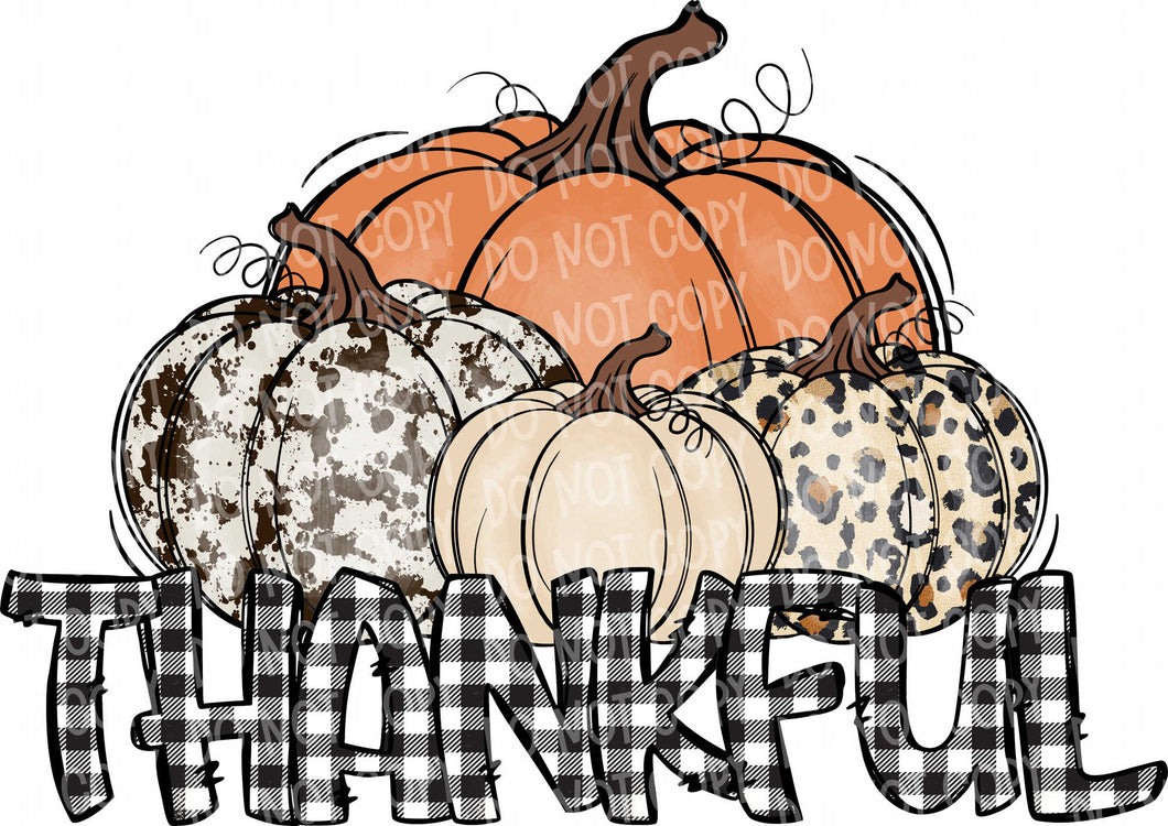 Thankful Pumpkins | DTF Ready to Press or Sublimation Transfer